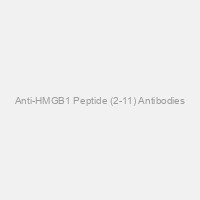 Anti-HMGB1 Peptide (2-11) Antibodies